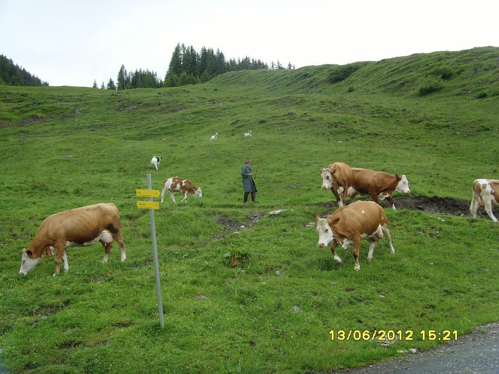 Feriendorf Ponyhof Fusch an der Grossglocknerstrasse Exteriér fotografie